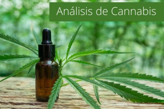 CBD contra el dolor: tres productos con aceite de cannabis