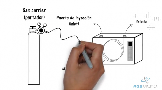 ¿Cómo funciona un Cromatógrafo Gaseoso?