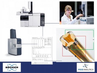 Entrenamiento Online: Espectrometría de Masas